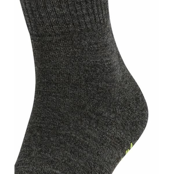 Falke unisex strumpor - enfärgade,