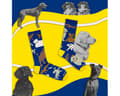 Pikkukuva 2 / 2: Happy dogs - yhteensopimattomat sukat 46-50