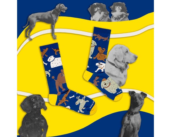Happy dogs - yhteensopimattomat sukat 46-50