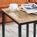 Miniatyrbillede 4 af 9: SoBuy, 2 redeborde | Sofabord | Sofabord sort, FBT42-N