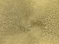 Miniatyrbillede 6 af 6: Sidebord Sort og Guld Metal Rund Geometrisk Form Moderne Endebord