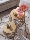 Miniatyrbillede 3 af 7: Rootz sidebord sæt med 2 aluminium guld design redeborde metal runde - Stue bord, sofabord, grenstruktur, moderne - 2-delt sofabord stue