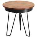 Miniatyrbillede 7 af 7: Rootz sidebord 43 x 45 x 43 cm Sheesham træ metal sofabord - Industriel stil Ægte træ borde Stue - Træbord Sofabord Metal ben - Anstellisch Dekotisch