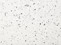 Miniatyrbild 8 av 8: Accent Soffbord Vit med Terrazzoeffekt MgO Glasfiber Rund Form UV Fläck Rost Vatten Väderresistent Modern Utomhus Vardagsrum