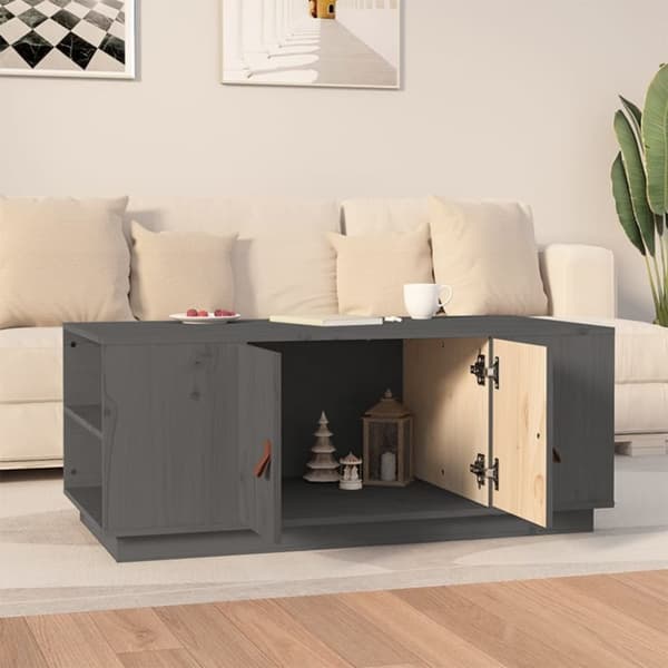 Sofaborde - Living sofabord 100x50x41 cm massivt fyrretræ grå