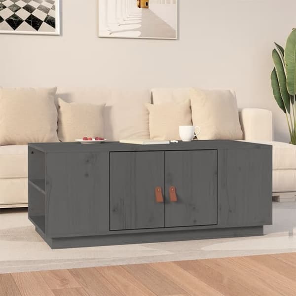 Sofaborde - Living sofabord 100x50x41 cm massivt fyrretræ grå