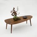 Pikkukuva 7 / 9: Chic Home Auvo sohvapöytä 115x50xK38 cm, puinen