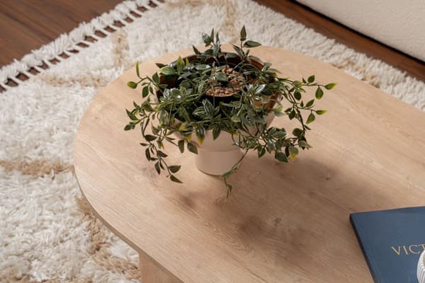 Ovalt soffbord, Sobel, 119x40x60 cm, brunt