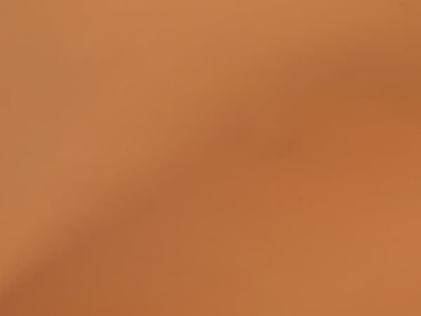 Sofabord Gennemsigtigt Hærdet Glas Brun farve 100 x 50 cm Minimalistisk Stil Stue