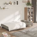 Miniatyrbillede 3 af 11: vidaXL 2-personers sovesofa med 2 puder velour lysegrå