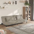Miniatyrbillede 1 af 11: vidaXL 2-personers sovesofa med 2 puder velour lysegrå