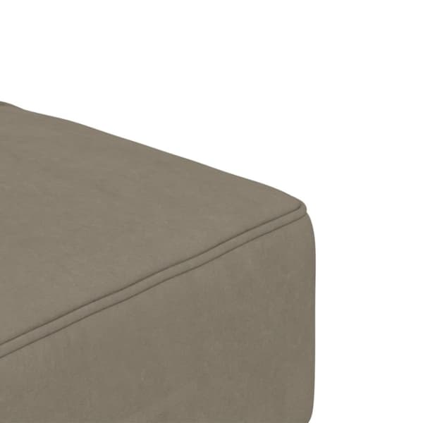 vidaXL Bäddsoffa 2-sits med två kuddar ljusgrå sammet