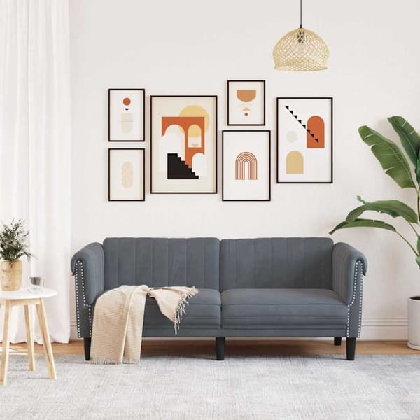 vidaXL 2-personers sofa velour mørkegrå