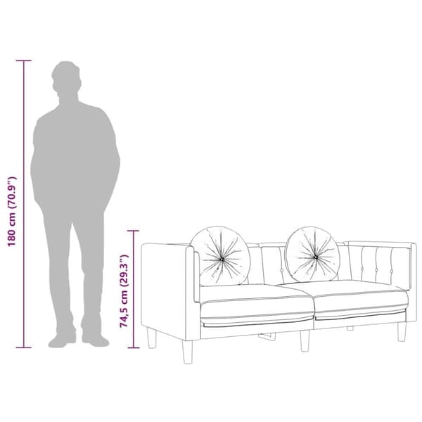 vidaXL Soffa med kuddar 2-sits mörkgrå sammet