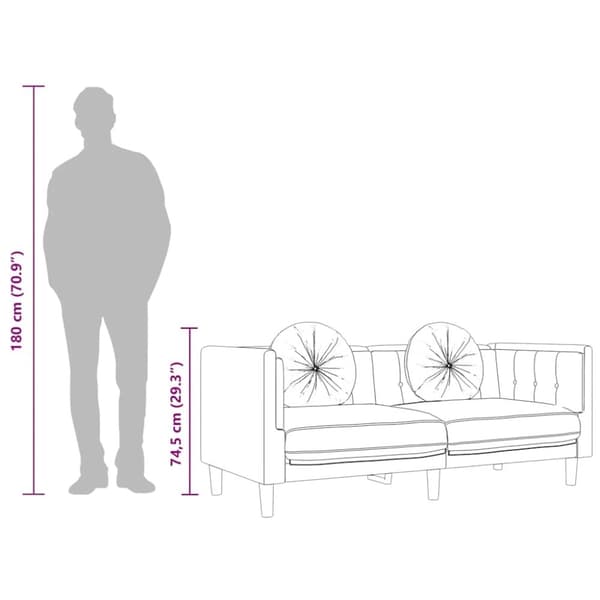 vidaXL 2-personers sofa med hynder velour cremefarvet