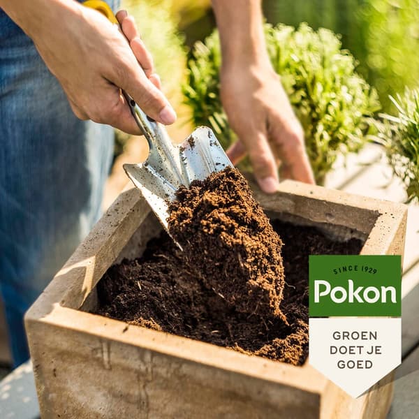 Pokon krukjord Kompakt - 10 liter