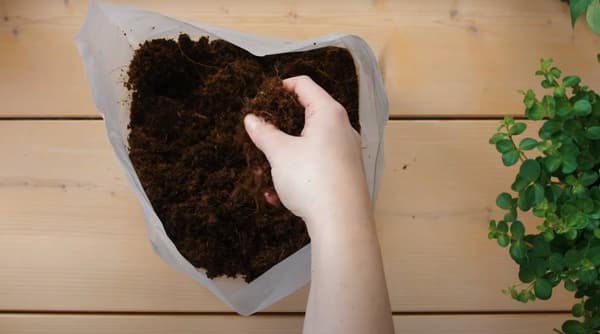 Pokon krukjord Kompakt - Kokosjord - Inomhus och utomhus - 50 liter