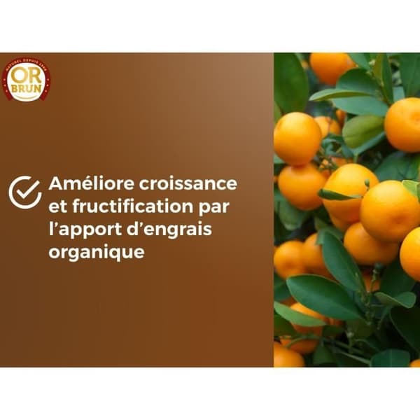 Citrus- och medelhavsväxter Jord - BRUNT GULD - OBRTAGR6U - 6L - Olivträd Palmer och cycas