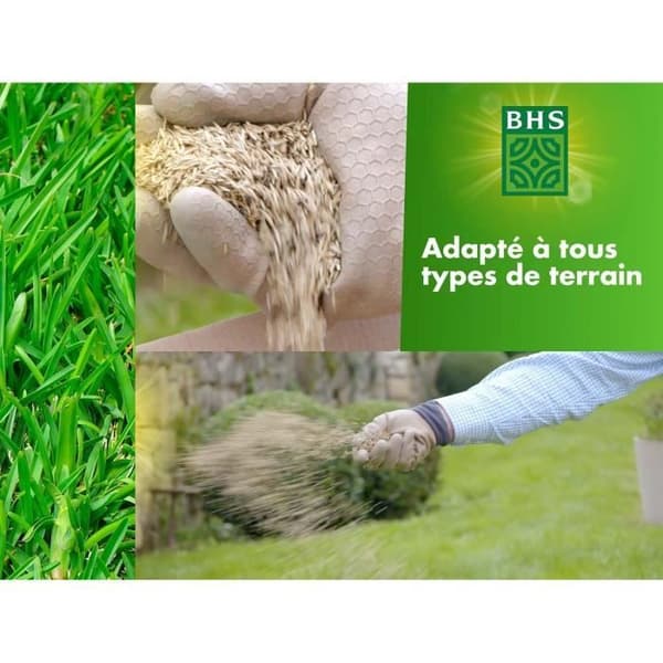 Gräsmatta - BHS - Rustik gräsmatta 1 KG - Starkare och bättre skyddad - Snabb och hållbar - Alla typer av terräng och klimat, Robust