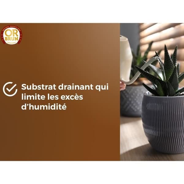 Substrat kaktus &amp; fetblad - GULD BRUN - OBRTCAC6U - 6L - Främjar tillväxten