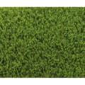 Miniatyrbild 1 av 4: Konstgräs - EXELGREEN - 123103 - Park 40 mm - 1 x 5m