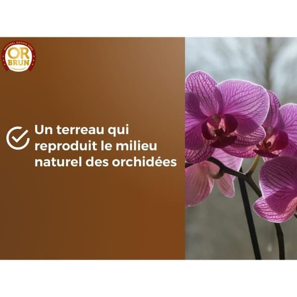 Orkideamulta - RUSKEA KULTA - OBRTORC6U - 6L - Edistää kasvua