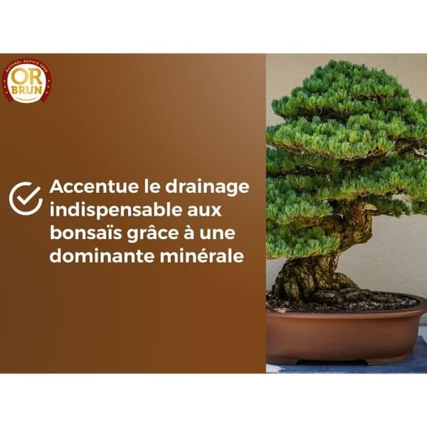 Bonsai-multa - RUSKEA KULTA - OBRTBON6U - 6L - Parempi juurtuminen