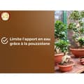 Pikkukuva 5 / 6: Bonsai-multa - RUSKEA KULTA - OBRTBON6U - 6L - Parempi juurien muodostuminen