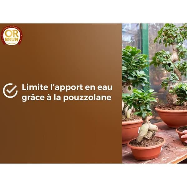 Bonsai-multa - RUSKEA KULTA - OBRTBON6U - 6L - Parempi juurien muodostuminen