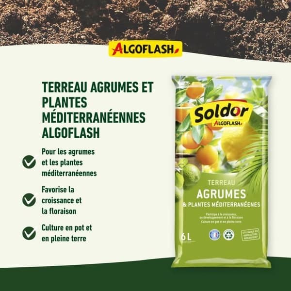 ALGOFLASH - Sitrus- ja Välimeren kasvimulta 6 L