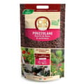 Pikkukuva 1 / 2: RUSKEA KULTA Pozzolaani 4l