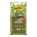 Miniatyrbillede 2 af 3: ALGOFLASH - Bonsaijord 6 L