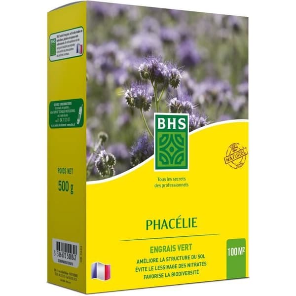 Phacelia - BHS - 500 g | 100 m² | Snabbväxande, torktålig.