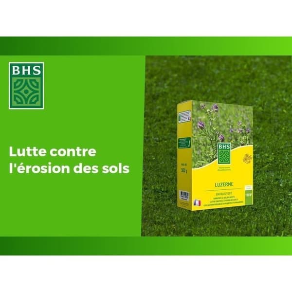 Alfalfa - BHS - 500 g | 100 m² | Förbättrar jorden, motstår kyla och torka, rik på proteiner, mineraler och vitaminer.