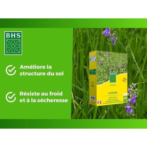 Alfalfa - BHS - 500 g | 100 m² | Förbättrar jorden, motstår kyla och torka, rik på proteiner, mineraler och vitaminer.