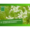 Miniatyrbillede 5 af 5: Alfalfa - BHS - 500 g | 100 m² | Förbättrar jorden, motstår kyla och torka, rik på proteiner, mineraler och vitaminer.