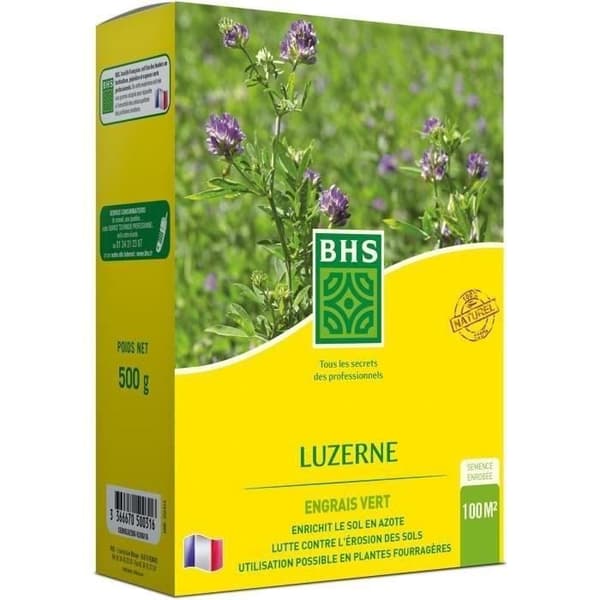 Alfalfa - BHS - 500 g | 100 m² | Förbättrar jorden, motstår kyla och torka, rik på proteiner, mineraler och vitaminer.