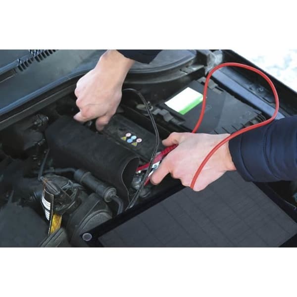 TECHNAXX TX-209 solladdare - Lämplig för 12V batterier i bilar, motorcyklar, skåpbilar, traktorer - 10W