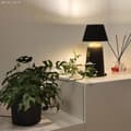 Miniatyrbild 6 av 8: Creative Cables Keramisk Flaska Lampskärm Brun