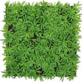 Miniatyrbild 1 av 6: JANGAL - Modular Wall - Akustisk väggpanel - 520 x 520 x 50 mm - Podocarpus Tea Tree - Naturfiber - Växtpanel