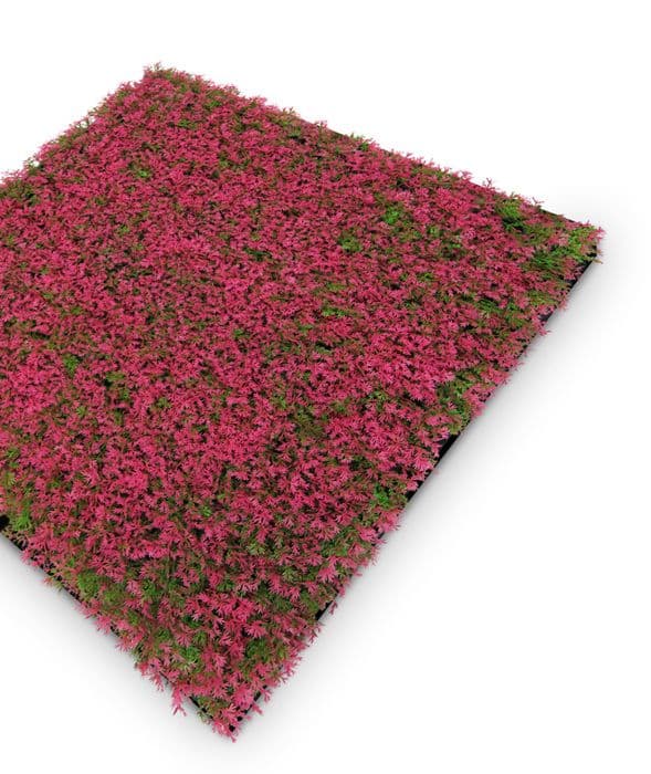 JANGAL - Modular Wall - Akustisk väggpanel - 520 x 520 x 50 mm - Grass Rose Design - Plant Panel