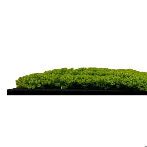 JANGAL - Modular Wall - Akustisk väggpanel - 520 x 520 x 30 mm - Lime Green Moss Design - Plant Panel