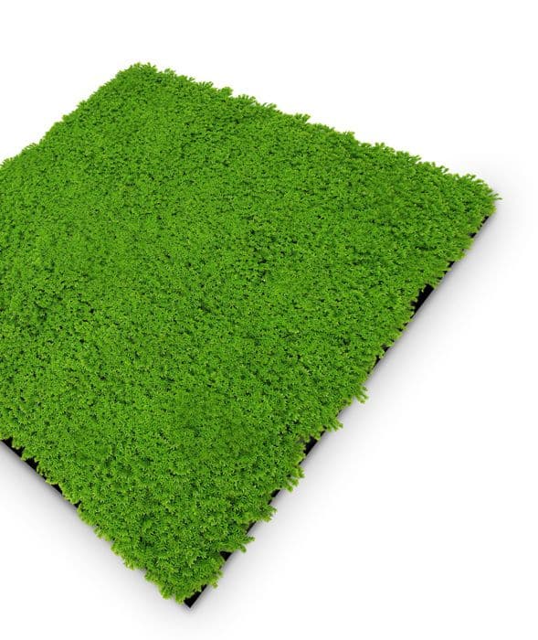 JANGAL - Modular Wall - Akustisk väggpanel - 520 x 520 x 30 mm - Lime Green Moss Design - Plant Panel