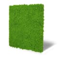 Miniatyrbild 2 av 6: JANGAL - Modular Wall - Akustisk väggpanel - 520 x 520 x 30 mm - Lime Green Moss Design - Plant Panel