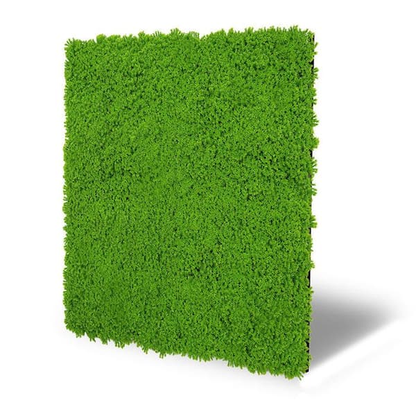 JANGAL - Modular Wall - Akustisk väggpanel - 520 x 520 x 30 mm - Lime Green Moss Design - Plant Panel