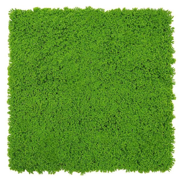 JANGAL - Modular Wall - Akustisk väggpanel - 520 x 520 x 30 mm - Lime Green Moss Design - Plant Panel