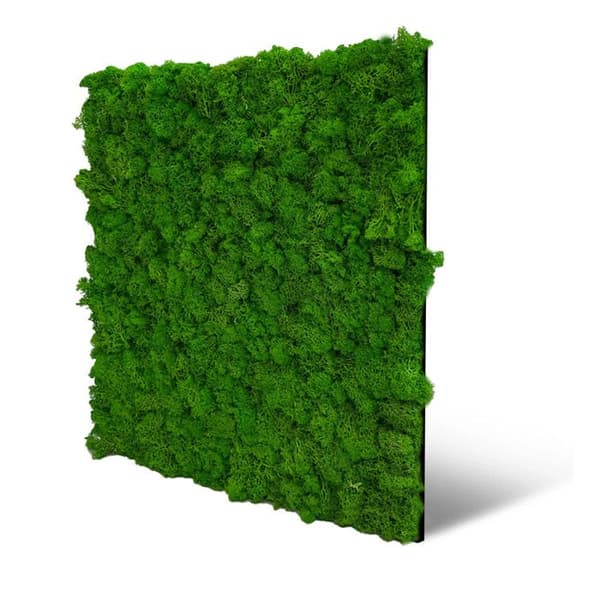 JANGAL - Modular Wall - Akustisk väggpanel - 520 x 520 x 40 mm - Rich Green Moss - Natural Moss - Plant Panel