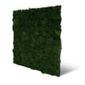 Miniatyrbild 3 av 6: JANGAL - Modular Wall - Akustisk väggpanel - 520 x 520 x 40 mm - Mörkgrön mossa - Naturlig mossa - Växtpanel
