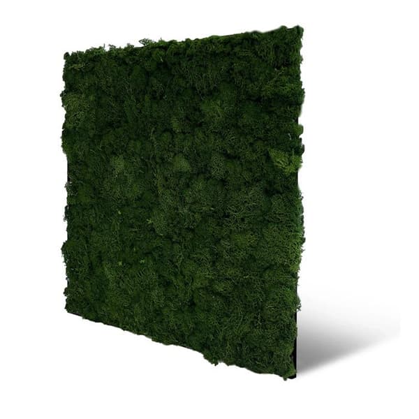 JANGAL - Modular Wall - Akustisk väggpanel - 520 x 520 x 40 mm - Mörkgrön mossa - Naturlig mossa - Växtpanel