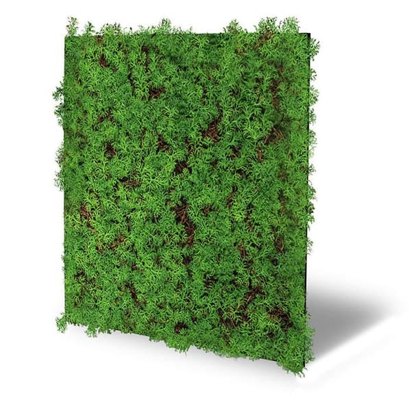 JANGAL - Modular Wall - Akustisk väggpanel - 520 x 520 x 50 mm - Thuja Tea Tree - Naturfiber - Växtpanel
